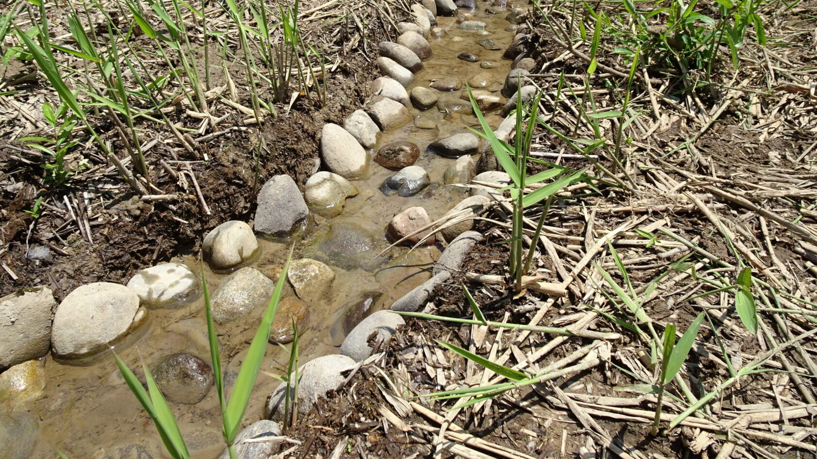 水の流れ道を作る