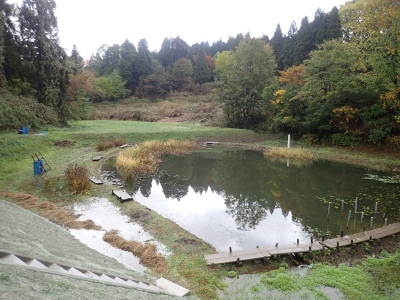 池じまいしました