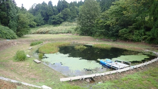 遊びに来てください！