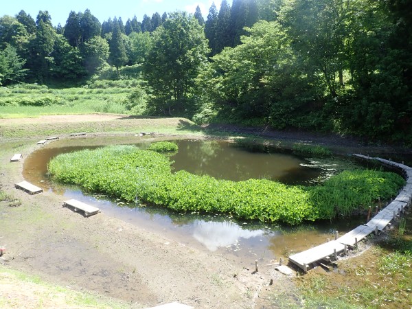 火打池の周りの水が引きました