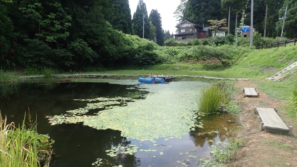 夏休みの終わる前に